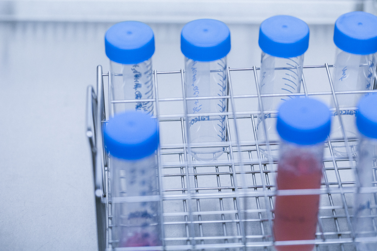 資本金及び準備金の額の減少公告